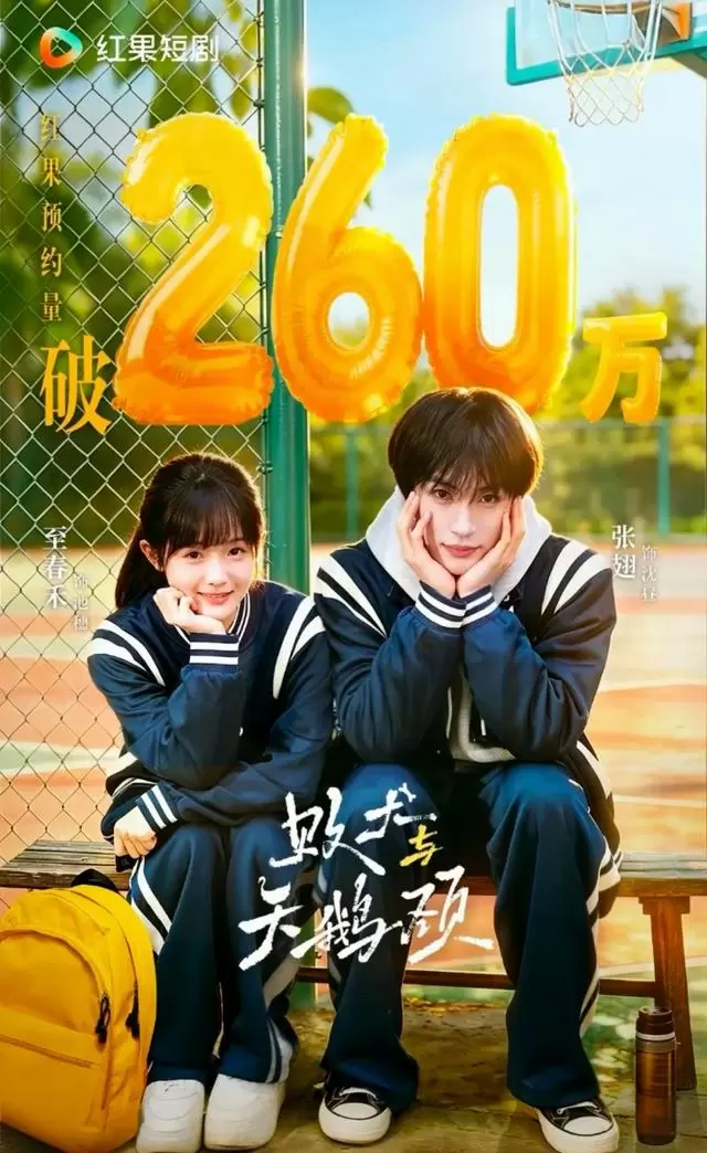 《一不小心嫁给了温柔律师》等短剧呈现类型化叙事新趋势 情报图