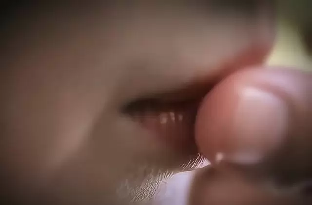 任嘉伦王鹤润《佳偶天成》唇印戏引爆全网热议：一场克制留白的古偶情感范式突围 情报图