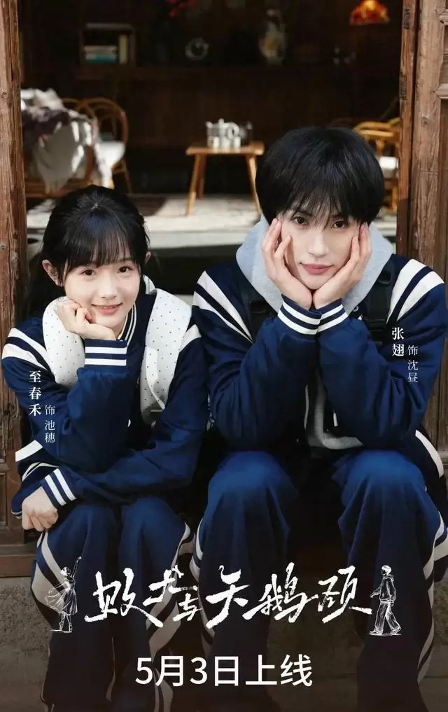 5月3日六部短剧集中上线 张翅蓝博主演新作覆盖青春救赎与古风权谋 相关图片